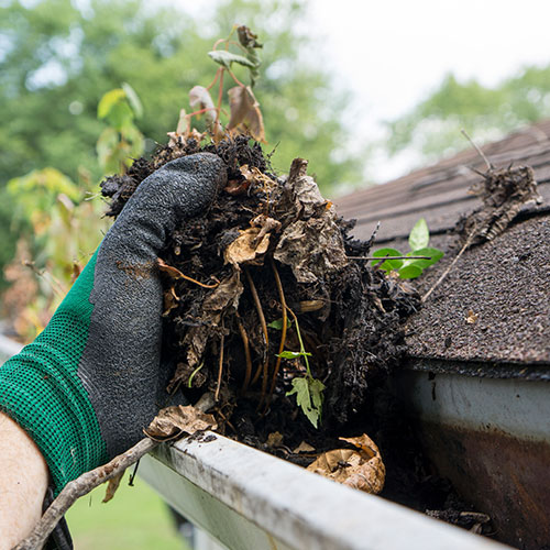 Gutter Cleaning